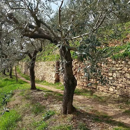 Terra Dei Santi Country House