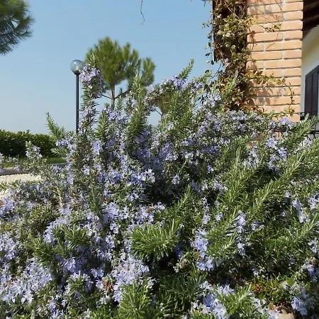 Terra Dei Santi Country House Lägenhetshotell 4*